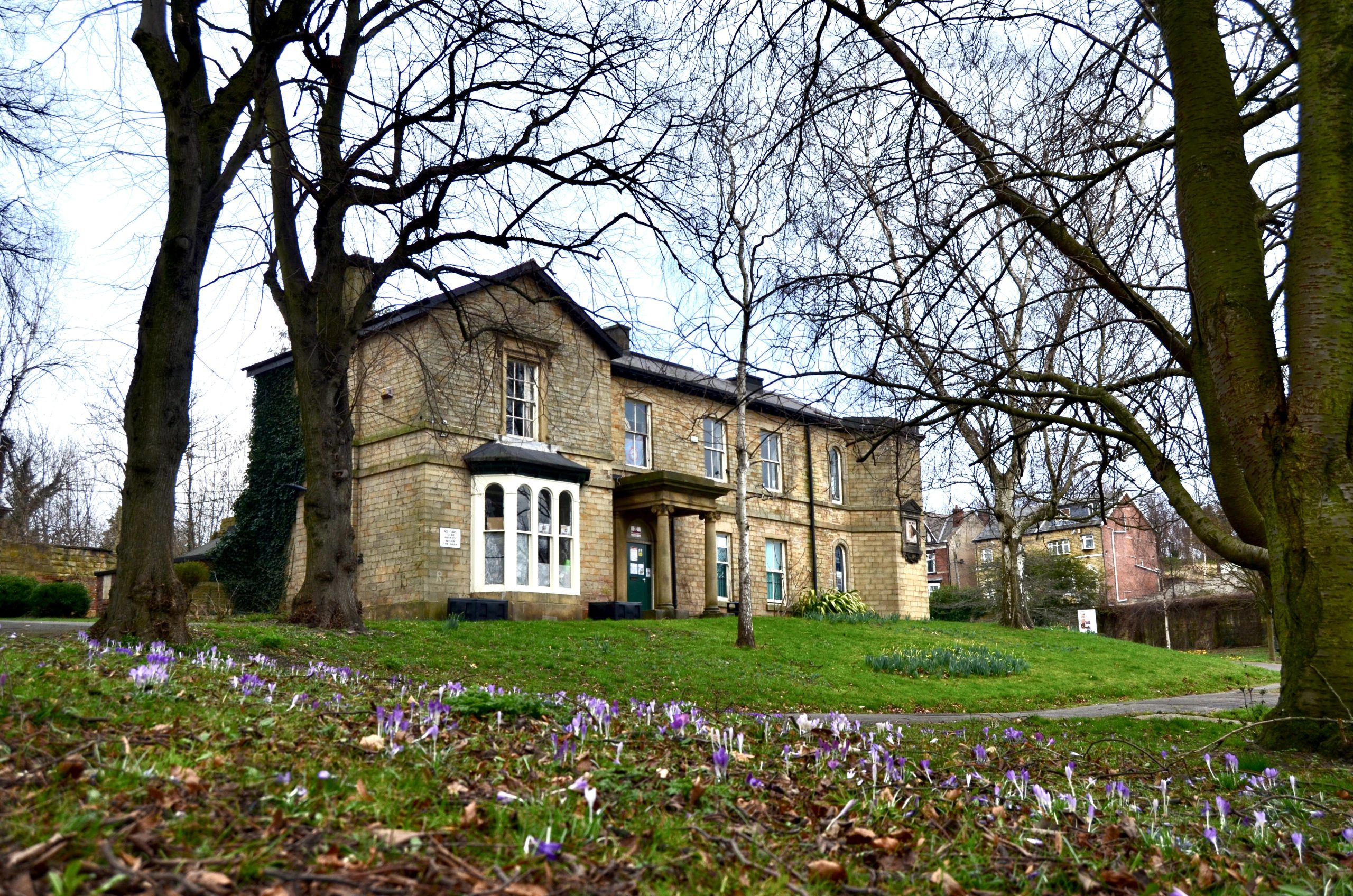 Abbeyfield House - Spring 2023 (crocuses in the foreground)